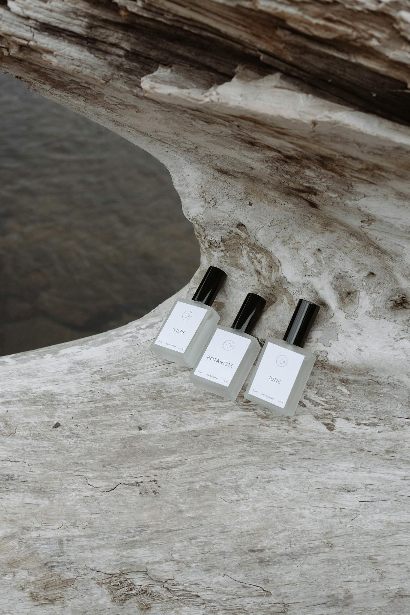 Stylish perfume bottles arranged on driftwood, perfect for product display.